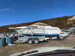 Searay. 1993 ���, ����� 9��., ��������� ������������, 460��.�., ������ ����