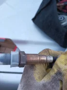 ������ ���� 030906262 ����