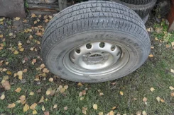 ����-213. �����������, 2019 ���, �/�, ����� 5 % ����
