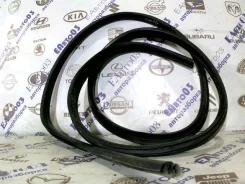 ����������� ������ �������� ����� Ford Focus II 2005-2008 1534918 1534918 ����