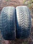 Lassa Competus. ������, 2013 ���, �/�, ����� 50 % ����