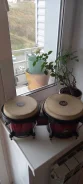 �����. ����