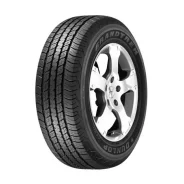 Dunlop Grandtrek AT20. �����������, �����. ��� ����� �� �������� ����