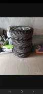 Altenzo Sports Tempest. ������, ����������, 2019 ���, �/�, ����� �� 5�% ����