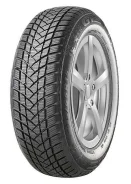 GT Radial WinterPro2. ������, ��� �����, �����. ��� ����� �� �������� ����