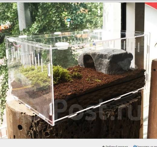 Террариум / Бокс акриловый 37,5х24,6х19,4см - Аквариумистика и ...