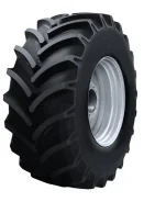 NorTec FL-31. �����������, ����� ����