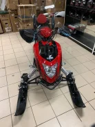 Irbis Dingo T150. ��������, ��� ���, � �������� ����