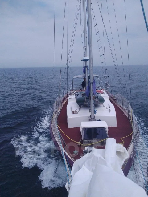 �������� - Formosa 41' �������� ����. ����� 12,4��., 1975 ��� ����