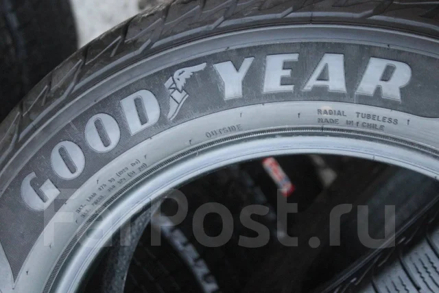 Goodyear Assurance. ������, ��� �����, 2019 ���, �/�, ����� 5 % ����