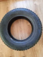 Bridgestone Blizzak Spike-01. ������, ����������, �/�, ����� 20�% ����