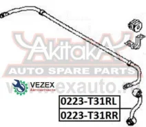 ���� ������������� ������ ����� ASVA 0223T31RL 0223T31RL ����