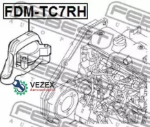 ����� ��������� FORD Focus CAK -05 ���������� ����. Febest Fdmtc7RH FDMTC7RH ����