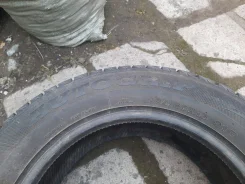 Autogrip Ecowinter. ������, ����������, 2013 ���, �/�, ����� 30�% ����