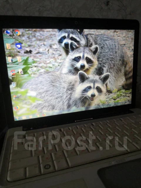HP Pavilion dv4. ��� 4 ��, WiFi: 1 ����