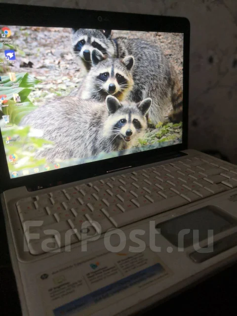 HP Pavilion dv4. ��� 4 ��, WiFi: 1 ����