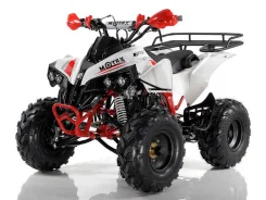 Motax ATV Raptor. ��������, ��� ���\���, ��� ������� ����