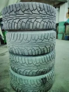 WolfTyres. ������, ����������, �/�, ����� 40 % ����