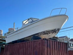 Yamaha Fish 24. 1991 ���, ����� 7,3��. ����