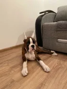 ������. ����