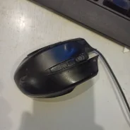 ���� ������������. ����