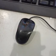 ���� ������������. ����