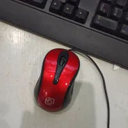 ���� ������������. ����