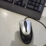 ���� ������������. ����