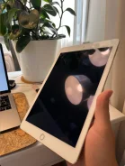 Apple iPad Air 2 ����