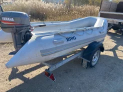 BRIG. 2016 ���, ����� 3,8��., ��������� ��� ���������, 30��.�. ����