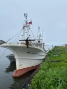 Yanmar. 1983 ���, ����� 19��., ��������� ������������, 235,5��.�., ������ ����