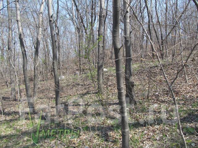 Аренда дома владивосток поселок канал. Участок во владивостоке. Лейтенанта шмидта, 17а фото. 25 участок владивосток. 25 участок владивосток.