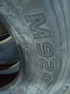 Toyo M929 Premium. ������, ��� �����, 2019 ���, �/�, ����� 20�% ����