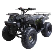 Wels Thunder 150. ��������, ��� ���\���, ��� ������� ����