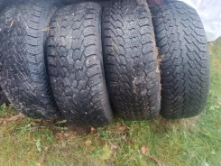 Nexen Winguard Ice. ������, ����������, �/�, ����� 20 % ����