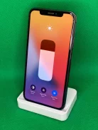 Apple iPhone X. �/�, ������ ����