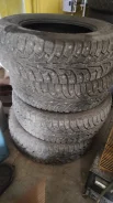 Nokian W+. ������, ����������, �/�, ����� 5 % ����