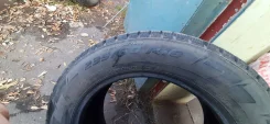 Pirelli Ice Zero. ������, ����������, 2019 ���, �/�, ����� 5�% ����