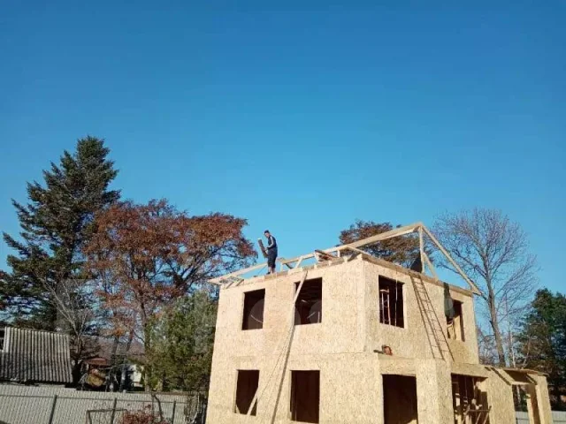 ������ ���������. ����