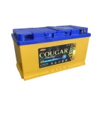 Cougar. 100��.�., ��������, ������������ ����� ����