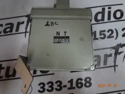 ���� (���������) Nissan Terrano ����