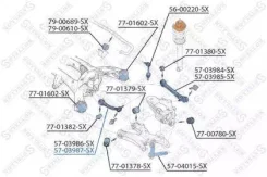 ����� �������� | ��� ���� | Stellox 5703987SX 5703987SX ����