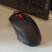 ���� ������������. ����