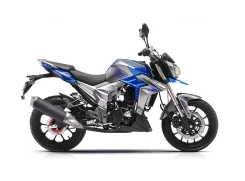 Regulmoto T-Leopard 300. 300����. ��., ��������, ���������, ��� �������. ��� ����� �� ������������ ����