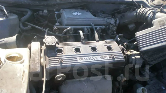Toyota Sprinter. AE100, 5AFE ����