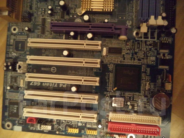 AMD ����