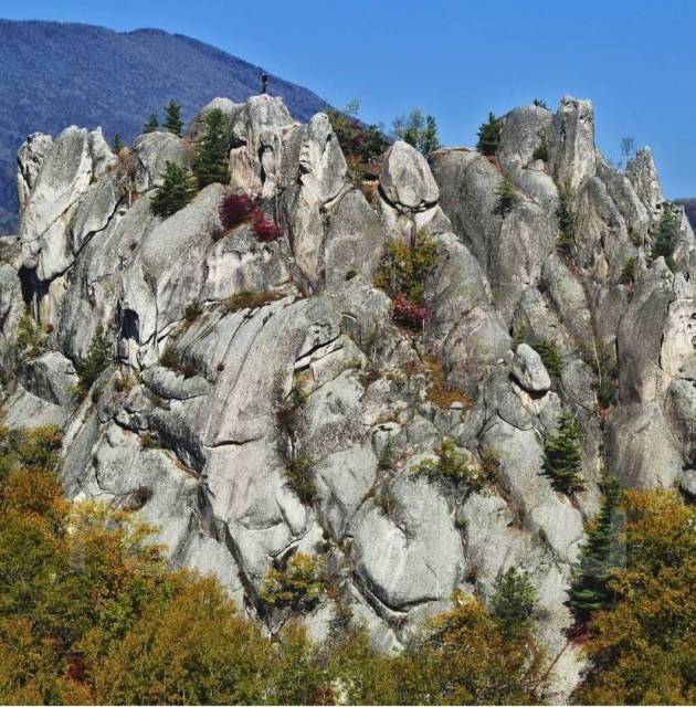 Парк драконов приморский край фото Парк Драконов, 4 и 20 ноября, 2900