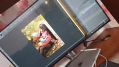 Dell. 27" ����