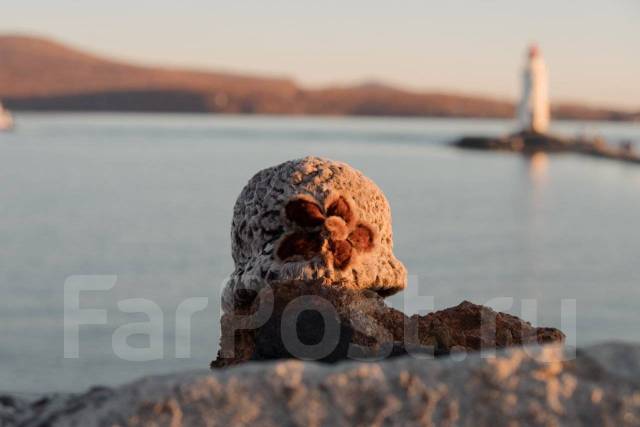 Ателье. Ремонт, пошив, реставрация: одежды, шуб, шапок во Владивостоке