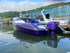 Yamaha SR-23. 2014 ���, ����� 7��., ��������� ���������, 225��.�., ������ ����